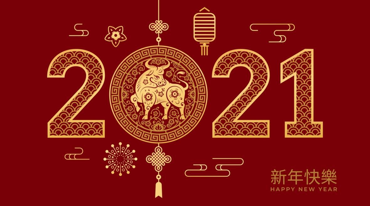 Happy New Year of the Ox: NOIC students sending out New Year wishes by filming festive videos!