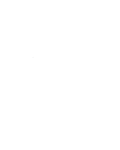 NOIC LOGO STRAIGHT